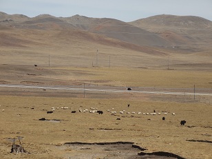 チベット鉄道13.jpg