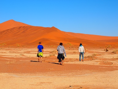 ナミブ砂漠1.jpg