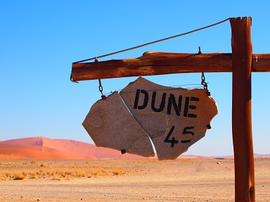 Dune45.jpg