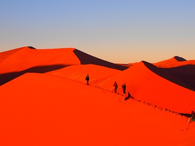 Dune452.jpg